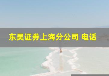 东吴证券上海分公司 电话